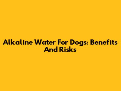 Alkaline Water For Dogs: Benefits And Risks