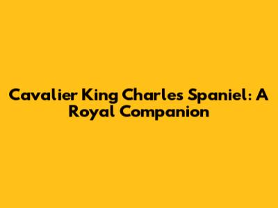 Cavalier King Charles Spaniel: A Royal Companion