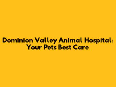 Dominion Valley Animal Hospital: Your Pet's Best Care
