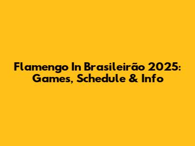 Flamengo In Brasileirão 2025: Games, Schedule & Info