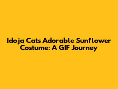 Idoja Cat's Adorable Sunflower Costume: A GIF Journey