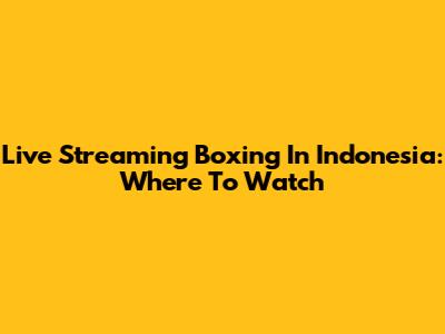 Live Streaming Boxing In Indonesia: Where To Watch