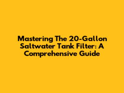 Mastering The 20-Gallon Saltwater Tank Filter: A Comprehensive Guide
