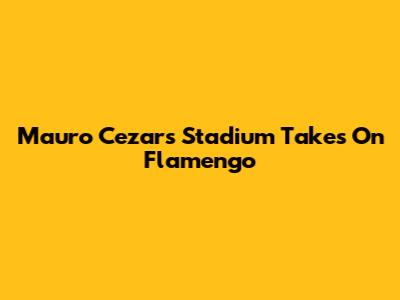 Mauro Cezar's Stadium Takes On Flamengo