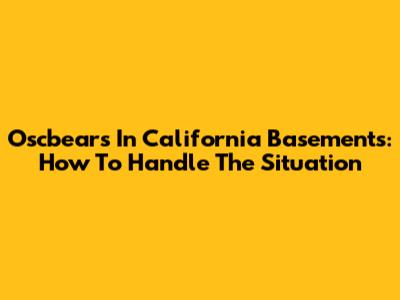 Oscbears In California Basements: How To Handle The Situation
