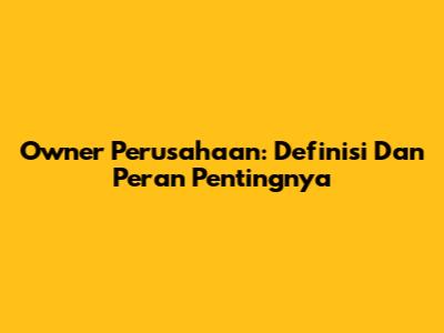 Owner Perusahaan: Definisi Dan Peran Pentingnya