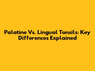 Palatine Vs. Lingual Tonsils: Key Differences Explained