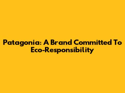 Patagonia: A Brand Committed To Eco-Responsibility