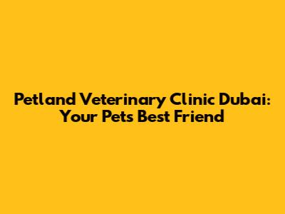 Petland Veterinary Clinic Dubai: Your Pet's Best Friend