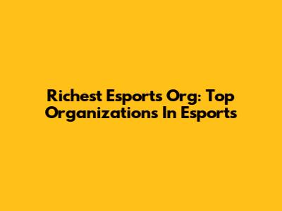 Richest Esports Org: Top Organizations In Esports