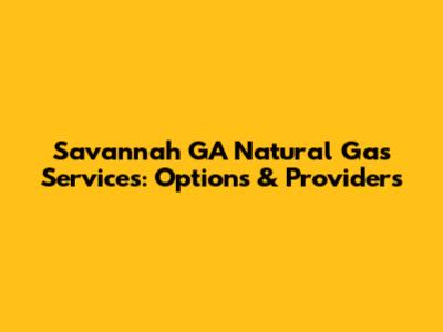 Savannah GA Natural Gas Services: Options & Providers