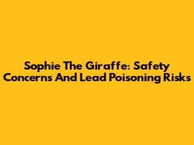 Sophie The Giraffe: Safety Concerns And Lead Poisoning Risks