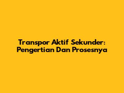 Transpor Aktif Sekunder: Pengertian Dan Prosesnya