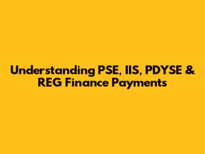 Understanding PSE, IIS, PDYSE & REG Finance Payments