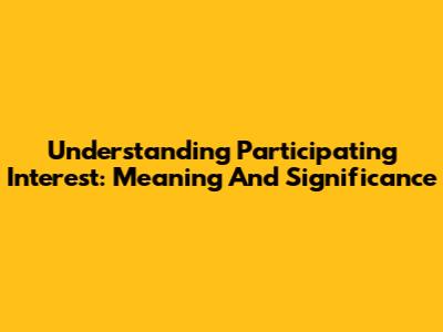 Understanding Participating Interest: Meaning And Significance