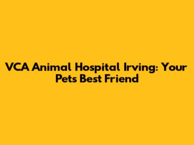 VCA Animal Hospital Irving: Your Pet's Best Friend