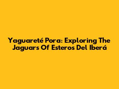 Yaguareté Pora: Exploring The Jaguars Of Esteros Del Iberá